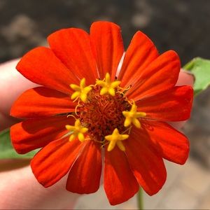 Meet your Posher, Christine